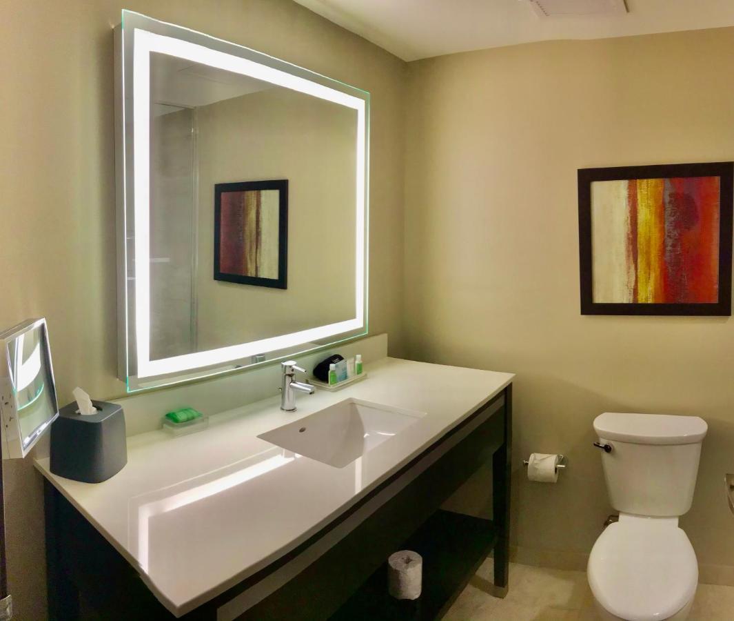 Holiday Inn Chicago Schaumburg By Ihg Eksteriør billede